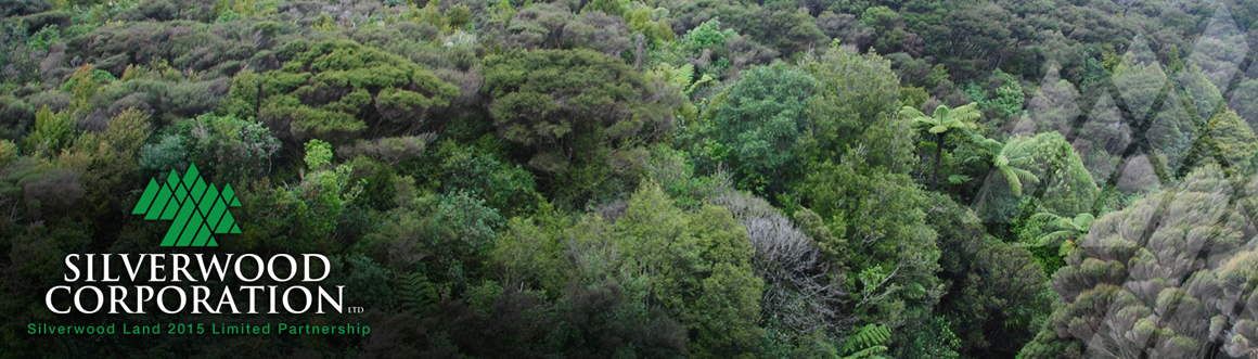 Silverwood Treetops